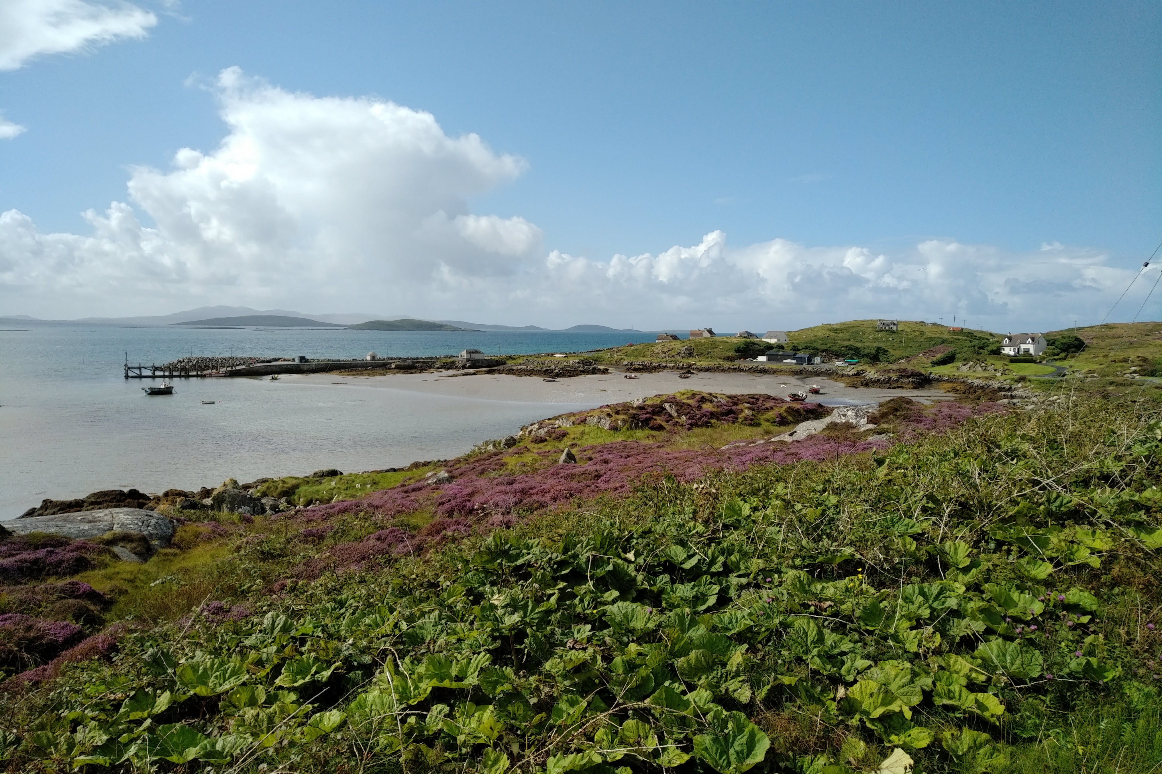 img_20180823_1215575